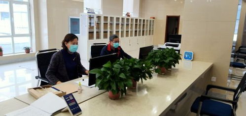 通化市檔案館 疫情防控與檔案利用服務(wù)兩不誤，檔案整理服務(wù)賦能便民